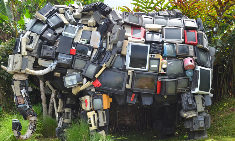 VESTIBULUM IMPERDIET NIBH VEL